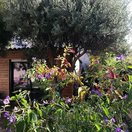 2 Calmes Frejus