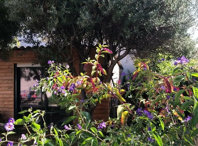 2 Calmes Fréjus